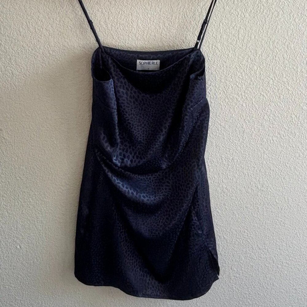 Sophie Rue Blue Leopard Print Slip Dress